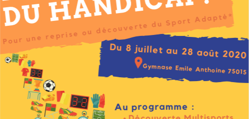 Eté parisien du handicap